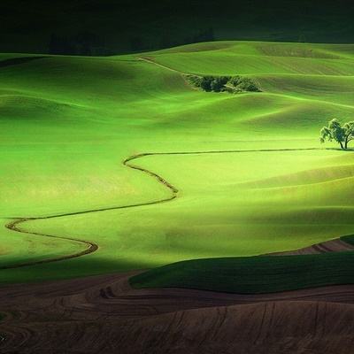 美股芯片股狂飙，ARM涨超15%，中概股大涨，一软件股飙升77%，黄金原油拉升